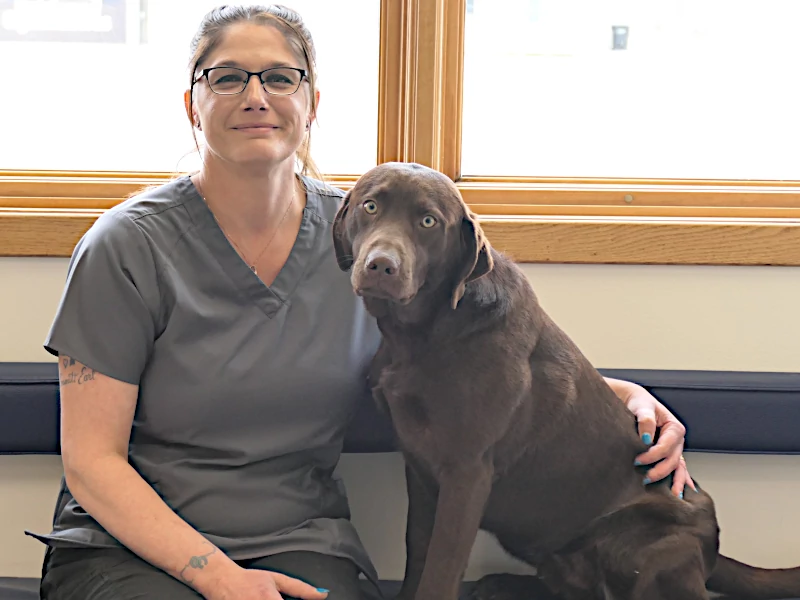 HOME | Medford Veterinary Clinic